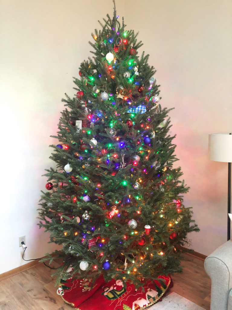 2020 Christmas Decor